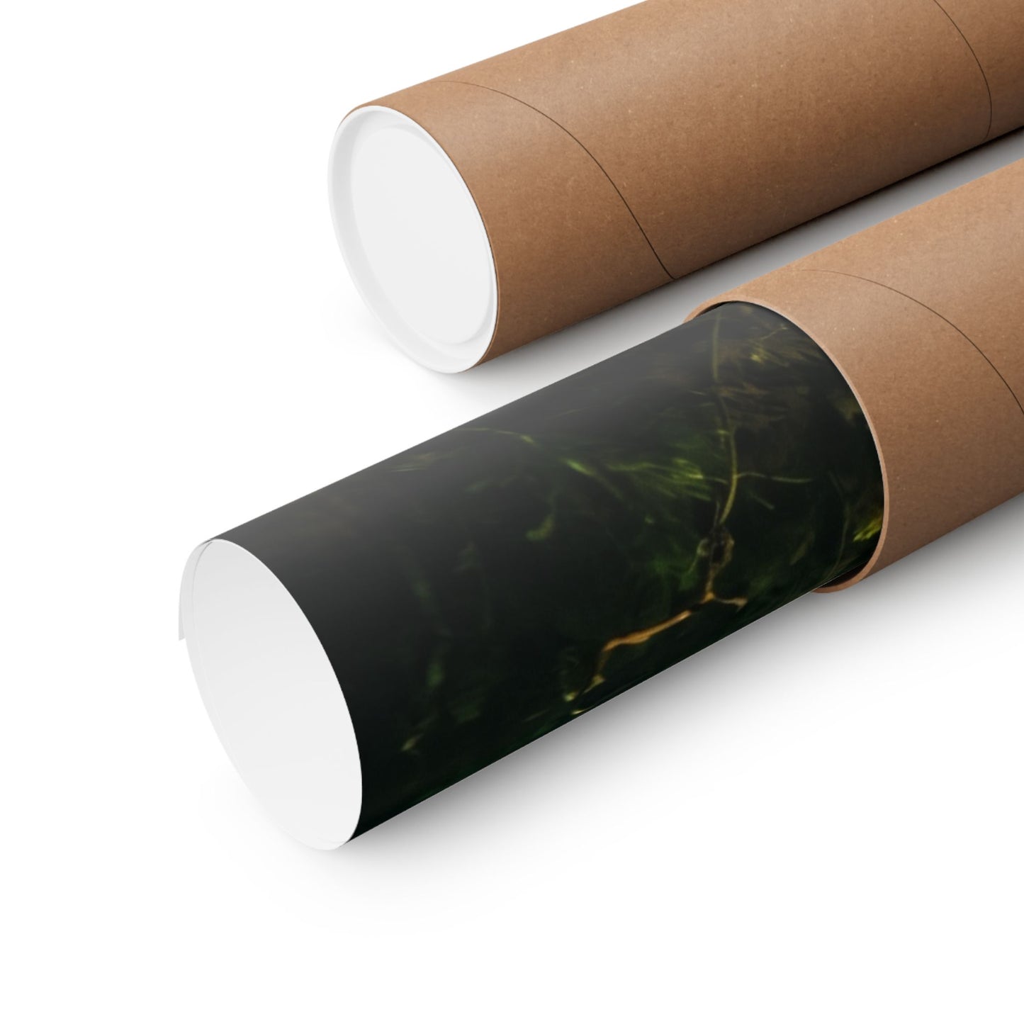 Pike Underwater Matte Poster — Fishing Wild Wall Art