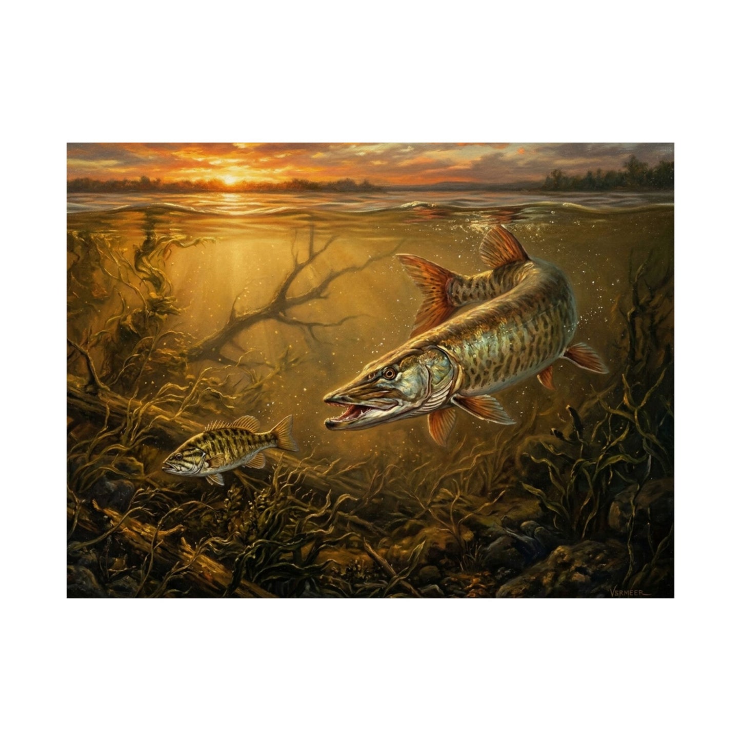Muskie Underwater Matte Poster — Fishing Art Print