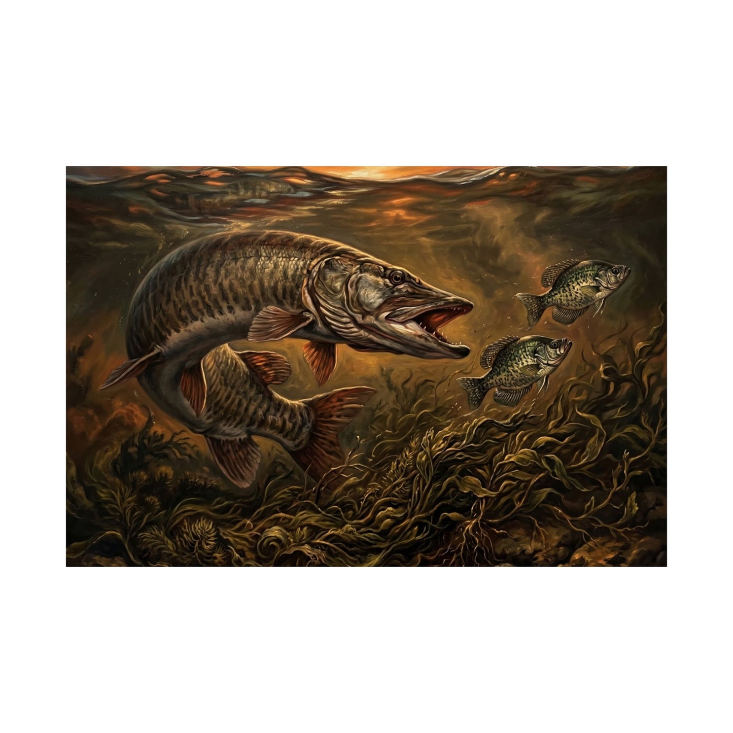 Muskie & Panfish Matte Horizontal Poster — Vintage Underwater Fishing Art