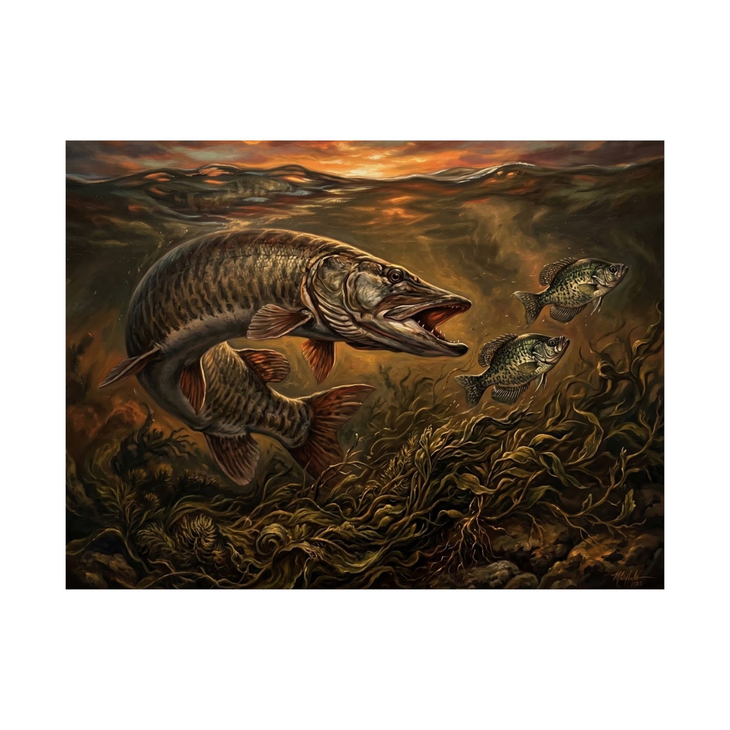 Muskie & Panfish Matte Horizontal Poster — Vintage Underwater Fishing Art