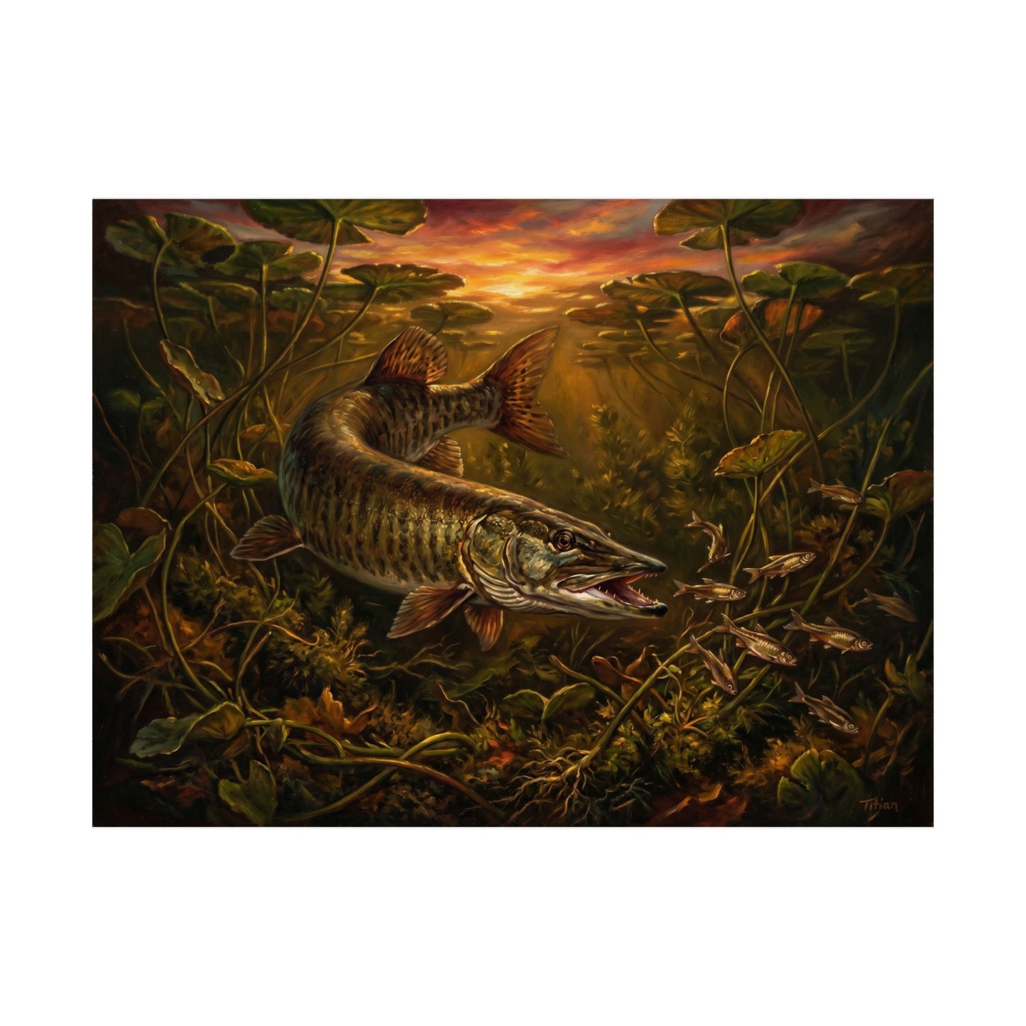Muskie Fishing Poster — Matte Horizontal Wall Art